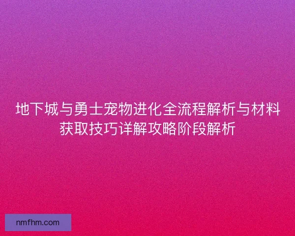 地下城与勇士宠物进化全流程解析与材料获取技巧详解攻略阶段解析