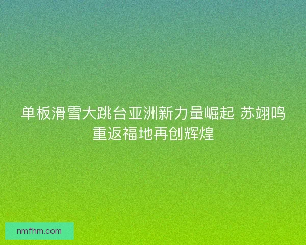 单板滑雪大跳台亚洲新力量崛起 苏翊鸣重返福地再创辉煌
