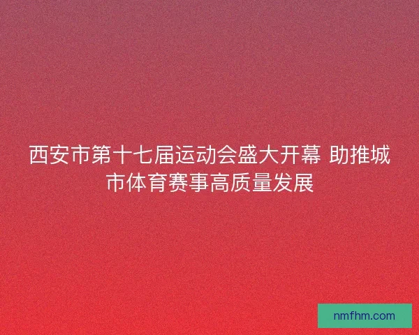 西安市第十七届运动会盛大开幕 助推城市体育赛事高质量发展