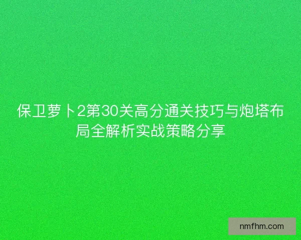 保卫萝卜2第30关高分通关技巧与炮塔布局全解析实战策略分享