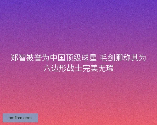 郑智被誉为中国顶级球星 毛剑卿称其为六边形战士完美无瑕